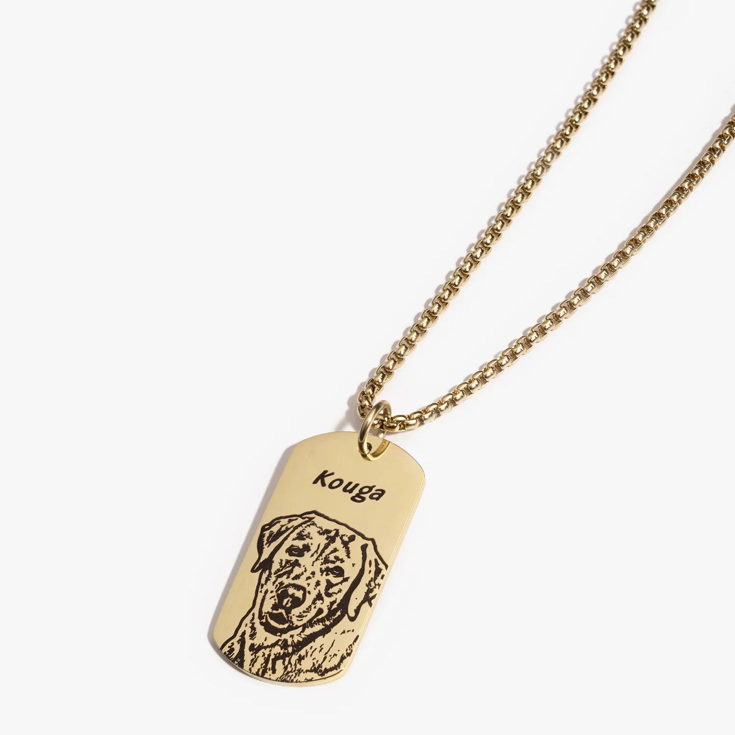 Evcil Hayvan Yüz Kimliği Kolyesi