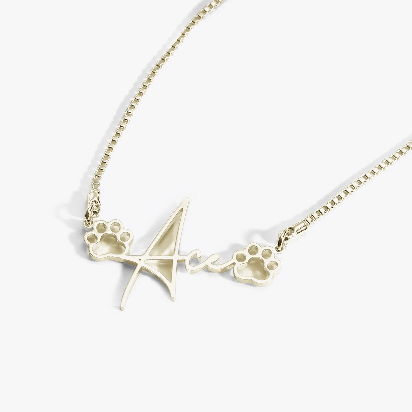 Evcil Hayvan Adı Kolyesi