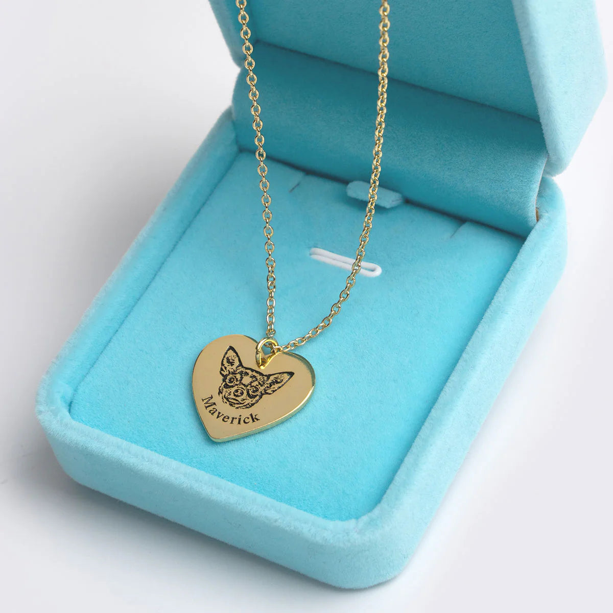 Evcil Hayvan Yüzü Kalp Kolye