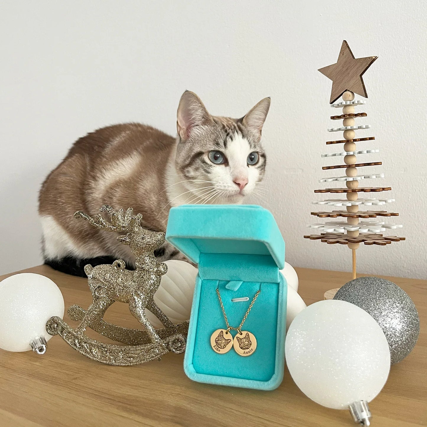 Evcil Hayvan Yüzü Kolyesi