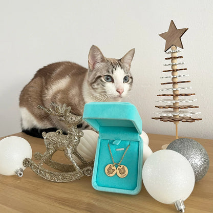 Evcil Hayvan Yüzü Kolyesi